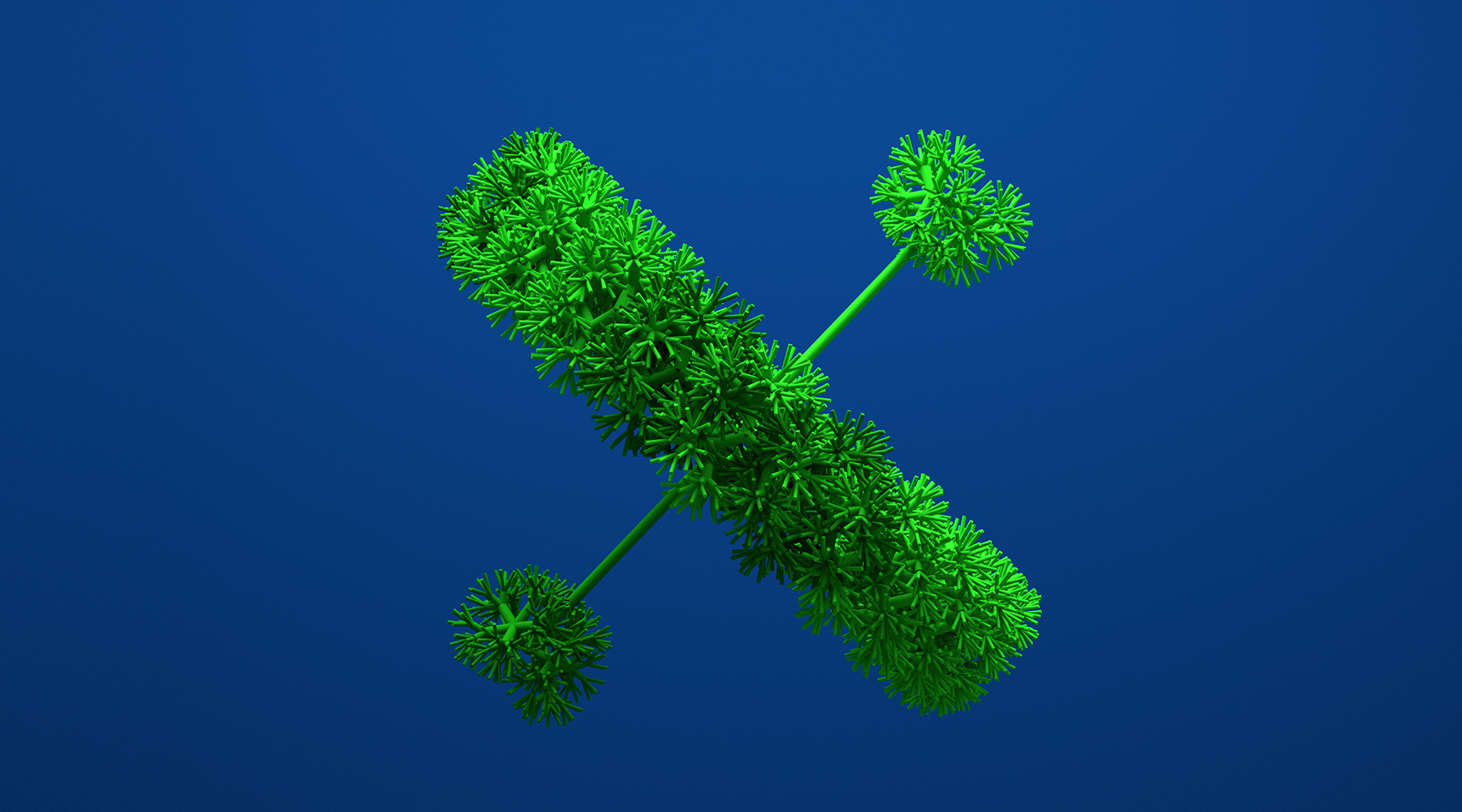 04-autodeterminazione